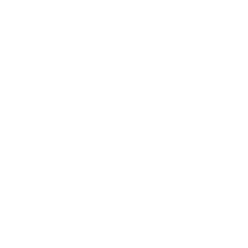 Twincity Marathon 2018