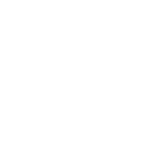 Twincity Marathon 2019